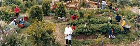 Edible Schoolyard_Image_01