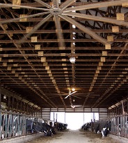 BigAssFans_Image 03