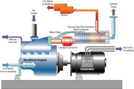 congeneration diagram